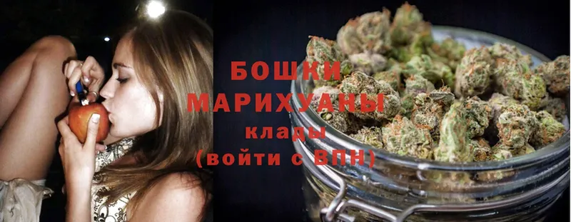 наркошоп  Вихоревка  Бошки Шишки OG Kush 